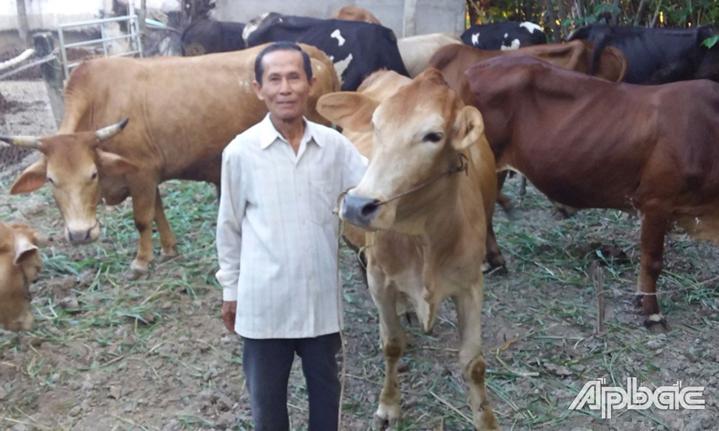 Ông Hồng vươn lên làm giàu từ mô hình chăn nuôi “Bò cái sinh sản”.