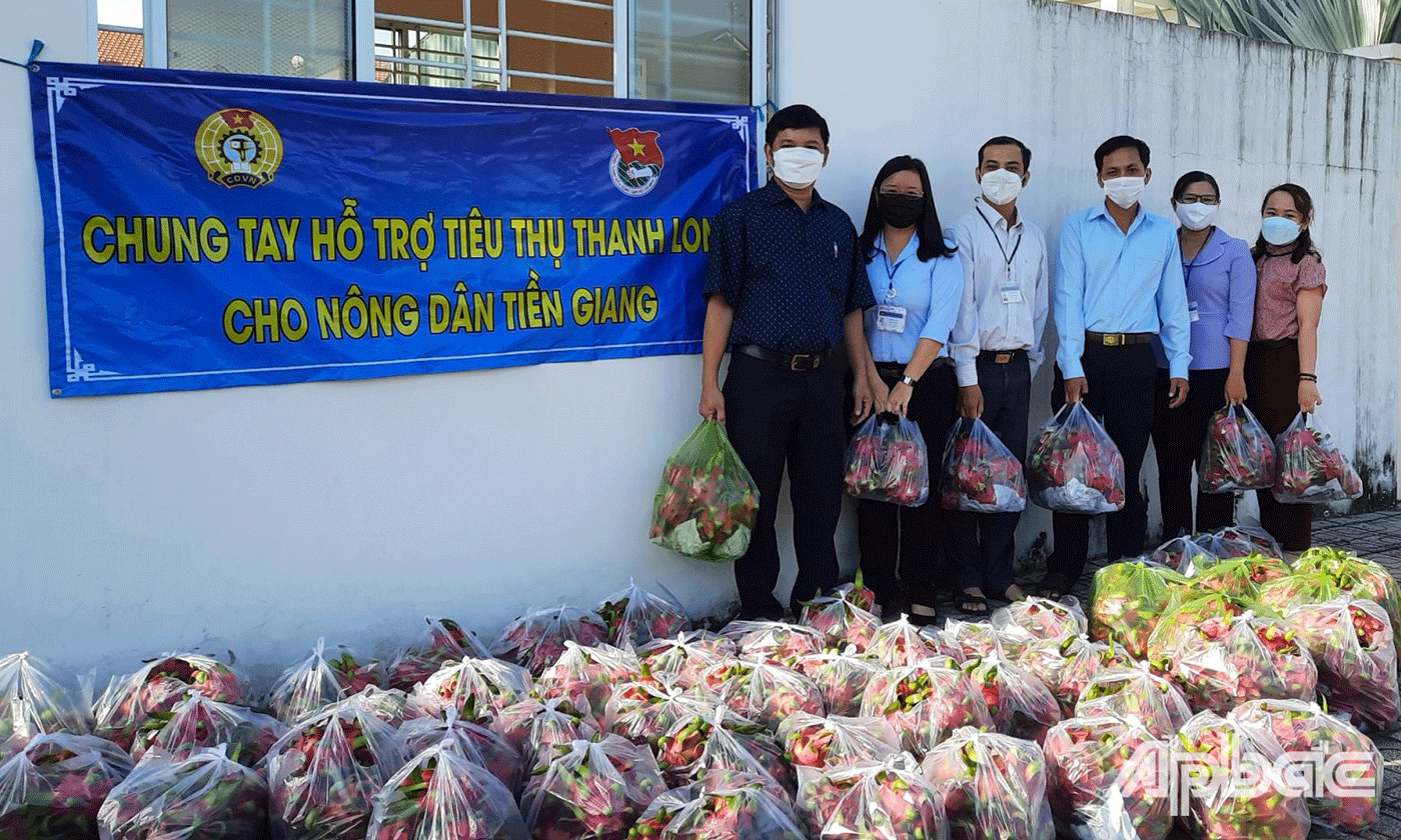 Công đoàn ngành Nông nghiệp và Đoàn thanh niên đã nổ lực, hỗ trợ người nông dân tiêu thụ thanh long.