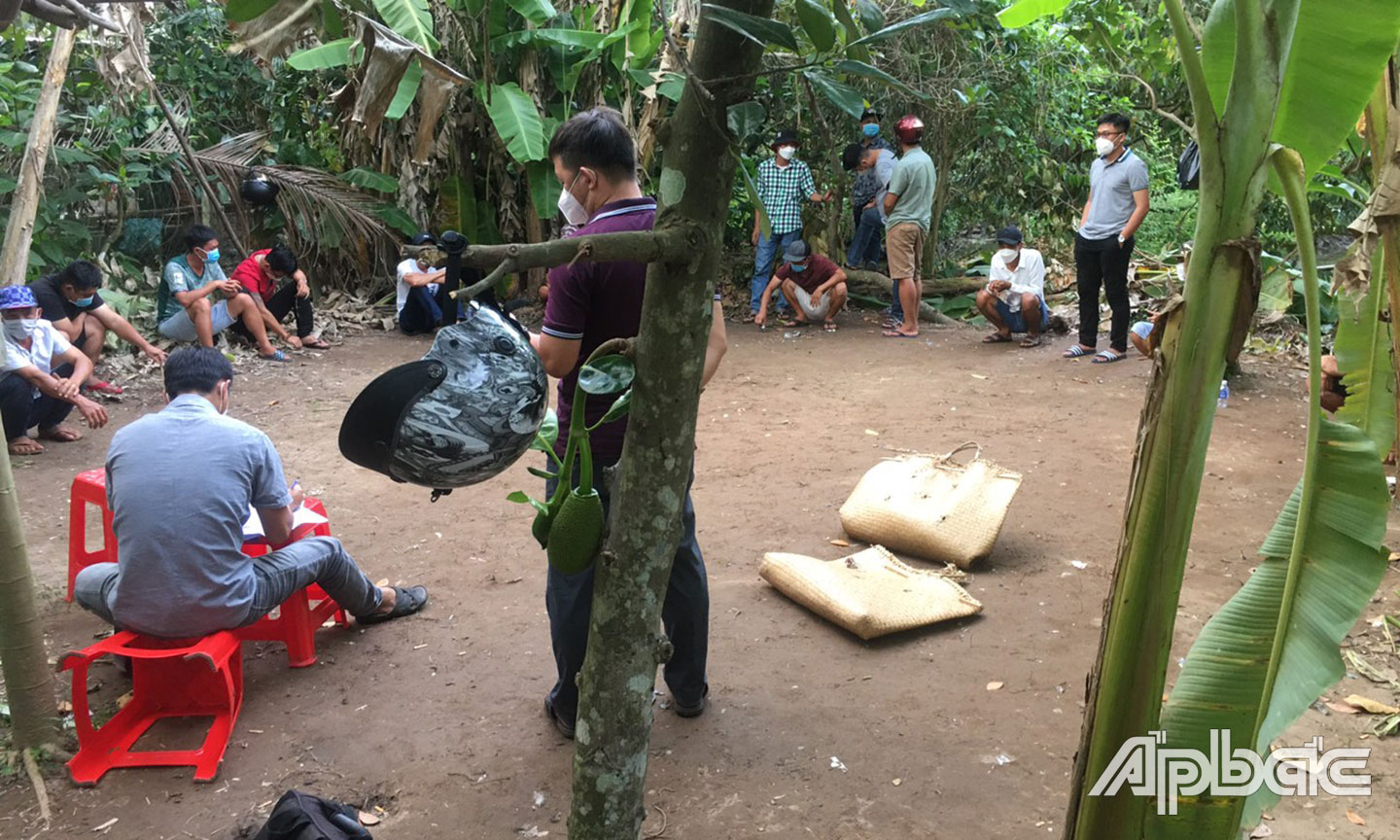 Công an Thị xã Cai Lậy tiến hành bắt quả tang 14 đối tượng đang tổ chức đánh bạc và đánh bạc dưới hình thức đá gà ăn thua bằng tiền tại phần đất của ông Lê Văn Tư, sinh năm 1961, ngụ khu phố 2, phường 5, Thị xã Cai Lậy.