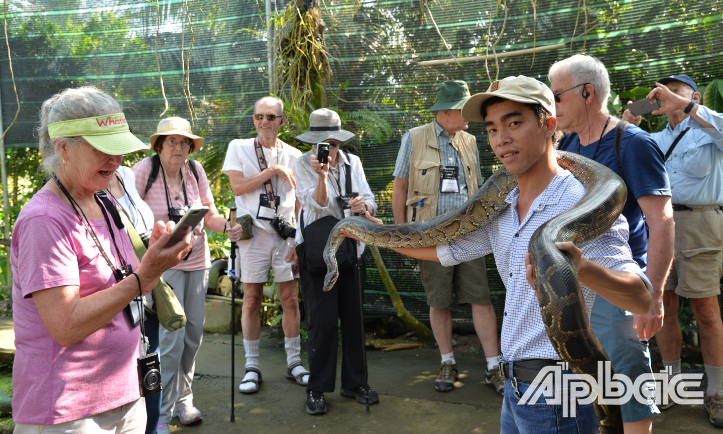 Ngành Du lịch Tiền Giang chuẩn bị đón khách du lịch quốc tế. (Ảnh chụp trước khi dịch Covid-19 bùng phát).