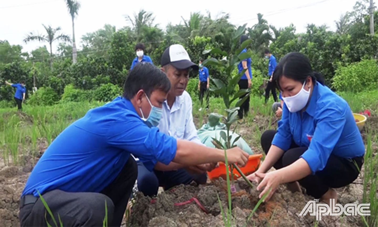 Đoàn viên, thanh niên Huyện đoàn Gò Công Tây thực hiện công trình trồng cây sinh kế.