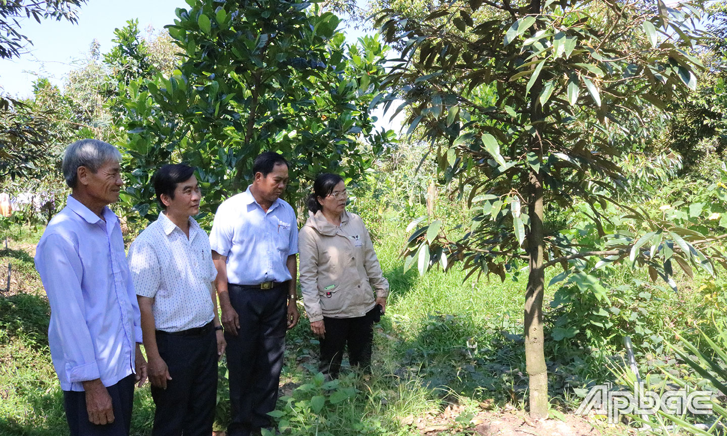 Từ nguồn vốn tín chấp thông qua tổ chức Hội, CCB Nguyễn Văn Hai (bìa trái), ở ấp Xuân Kiển, xã Hội Xuân đã phát triển kinh tế gia đình, vươn lên thoát nghèo.