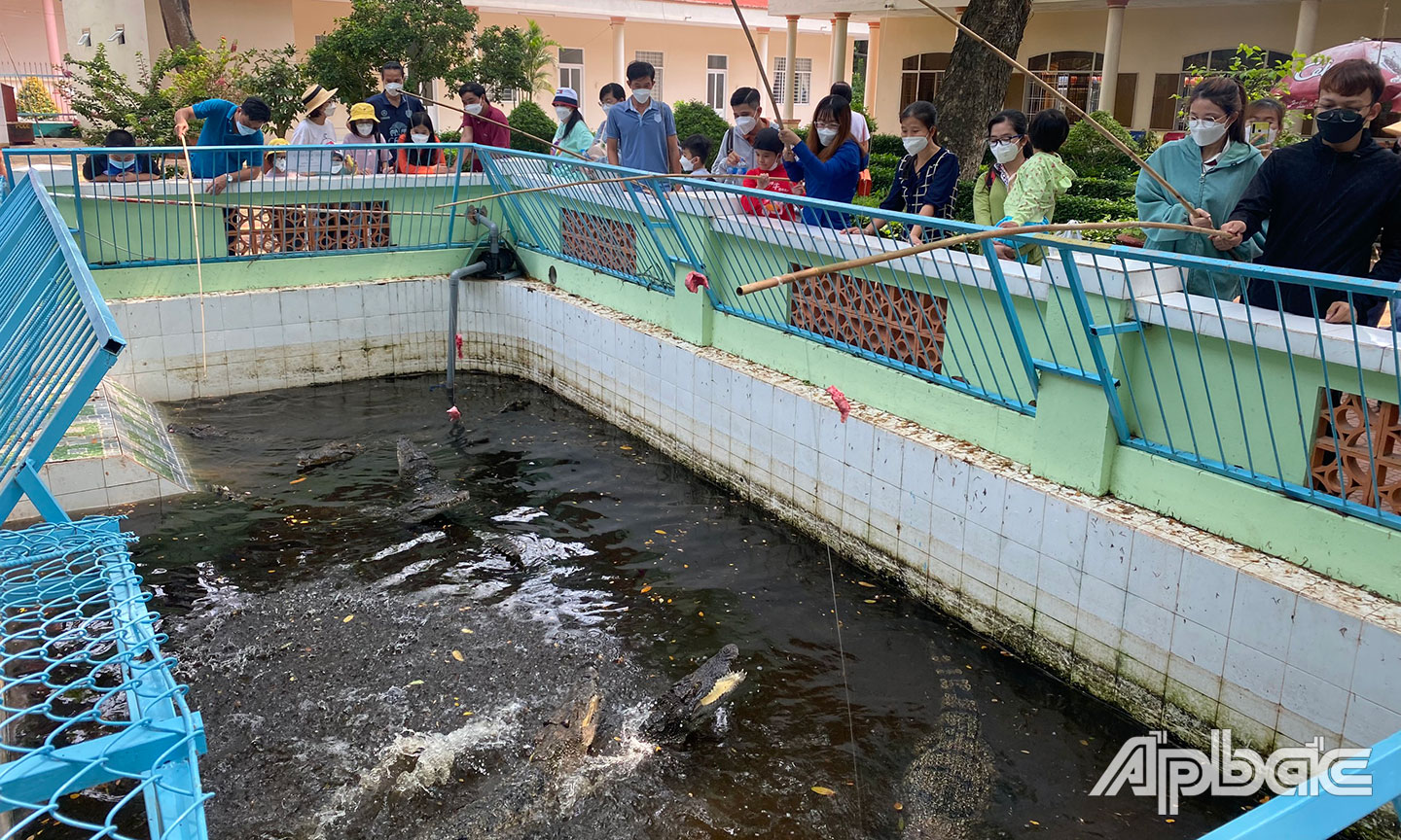 Và hàng trăm các loài thu hoang dã. Du khách thích thú với việc câu cá sấu.