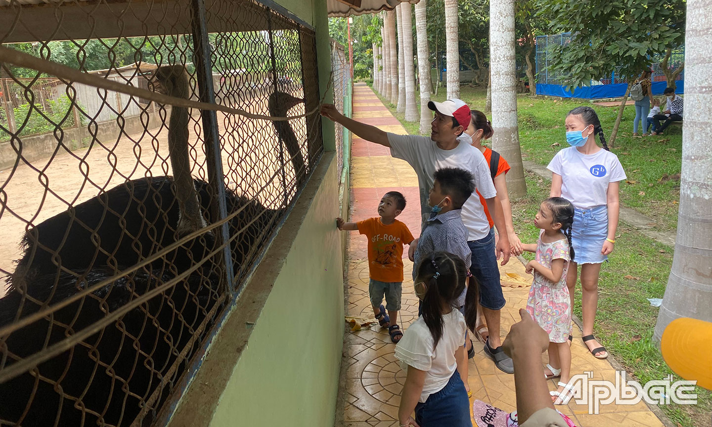 ...cho Đà Điểu ăn.