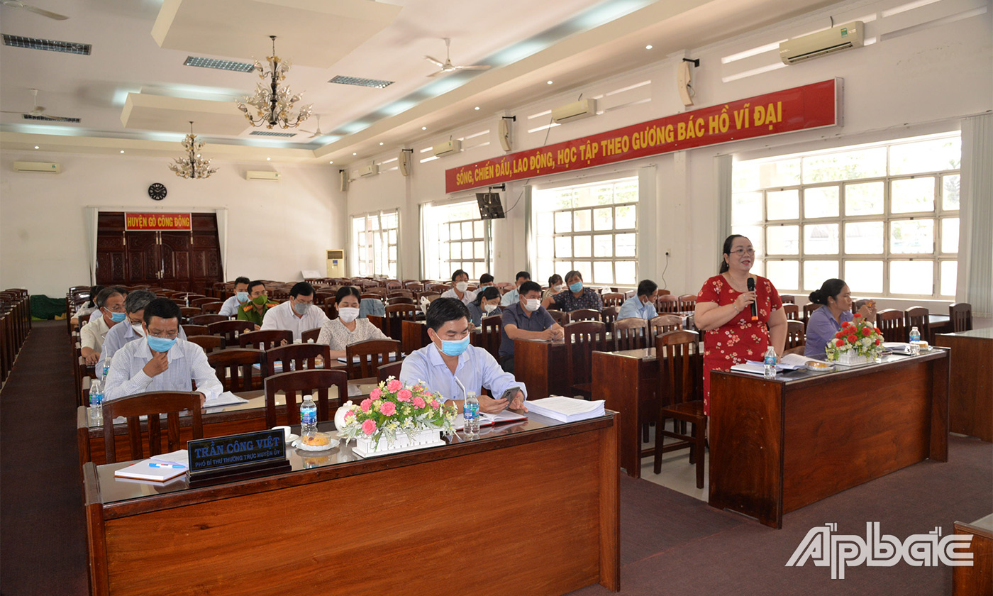 Thành viên Đoàn giám sát phát biểu ý kiến tại buổi làm việc với Sở VHTTDL