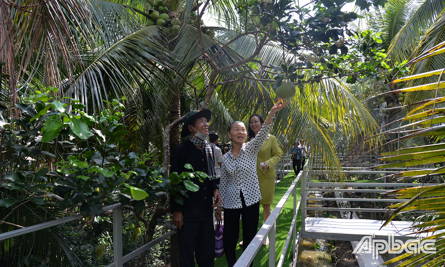 Du khách rất thích thú với điểm du lịch của ông Khanh.