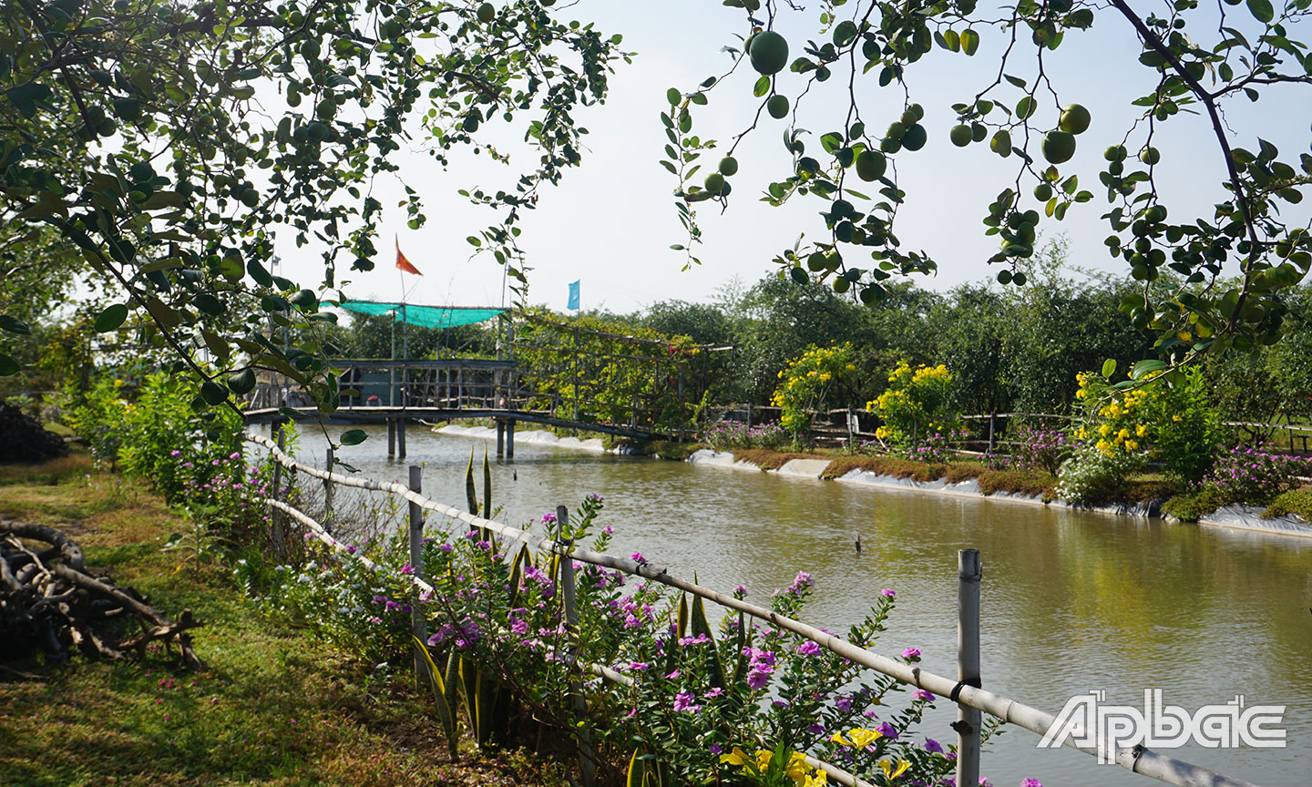 Không gian trong vườn táo.