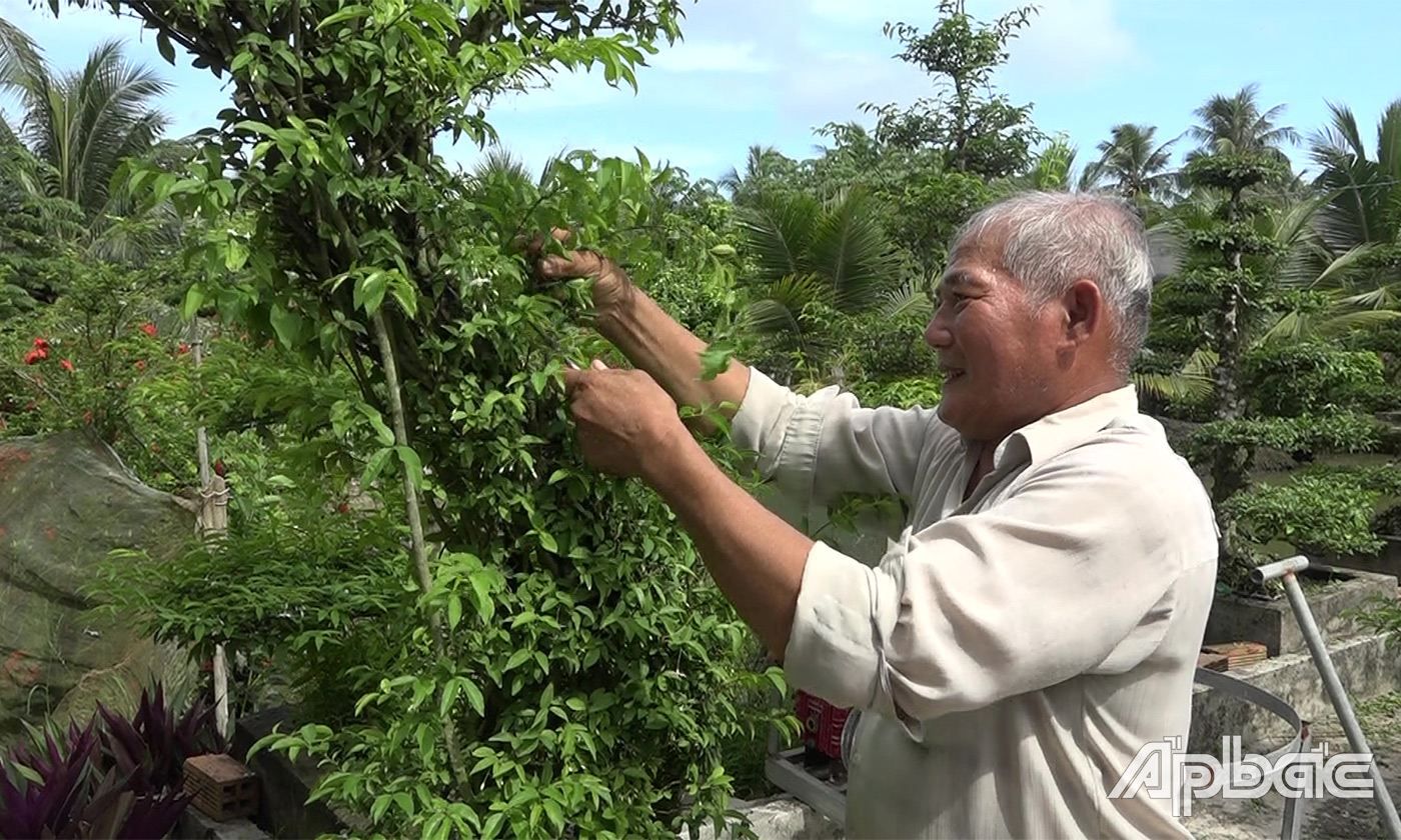 11.5 hoi vien tran cong phú xa thanh nhut tich cuc tham gia lam kinh te gioi