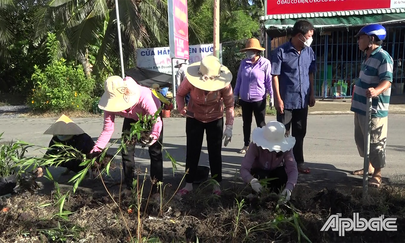 trồng hoa trên tuyến đường huyện 16C dẫn vào trung tâm xã Long Vĩnh.