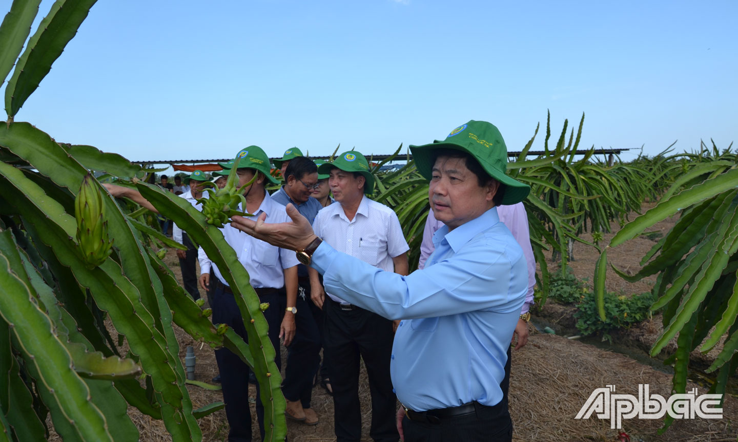 Xuất khẩu tiểu ngạch hiện đang tiềm ẩn nhiều rủi ro.