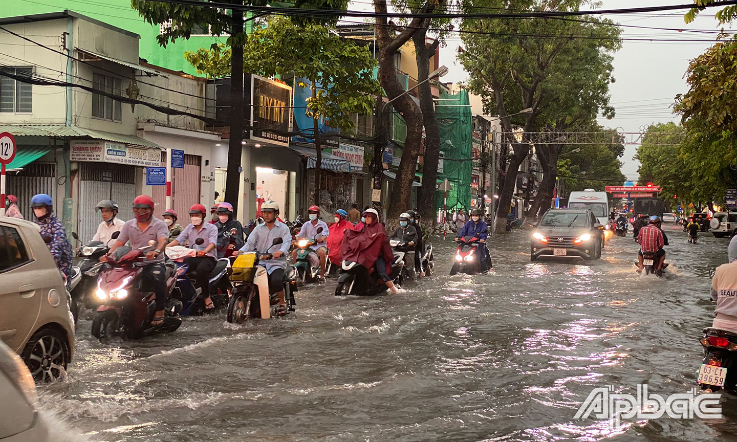 Trên đường Nguyễn Trãi.