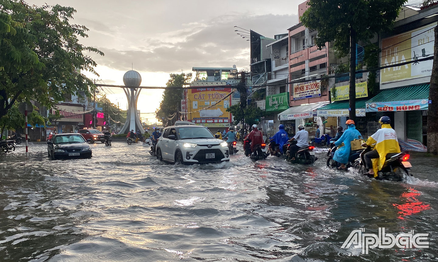Nhiều ô tô tắt máy nằm tại chỗ.