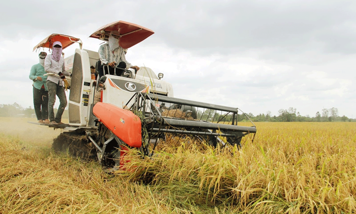 Thu hoạch lúa ở Đồng bằng sông Cửu Long. (Ảnh: Báo Cần Thơ) 