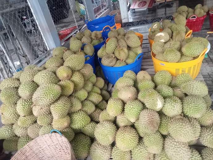 Vườn rau nhà chị Thủy (áo xanh thứ 2 từ trái sang) được tưới bằng nước phân hữu cơ ủ từ rác thải rau củ quả, tiết kiệm chi phí mà vẫn xanh tốt.