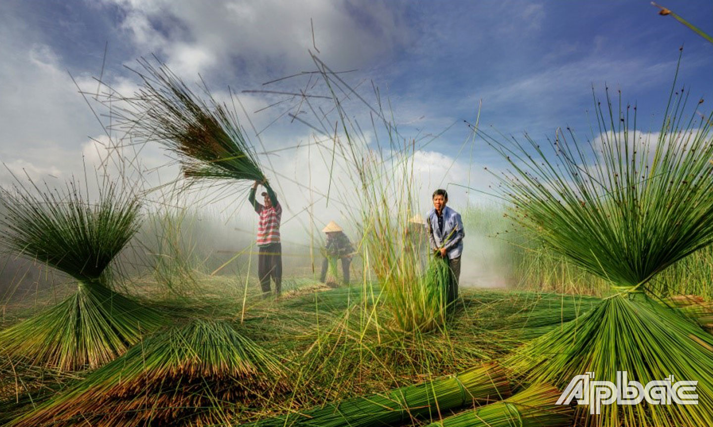 Tác phẩm: “Mùa cỏ bàng” của tác giả Bùi Gia Phú.