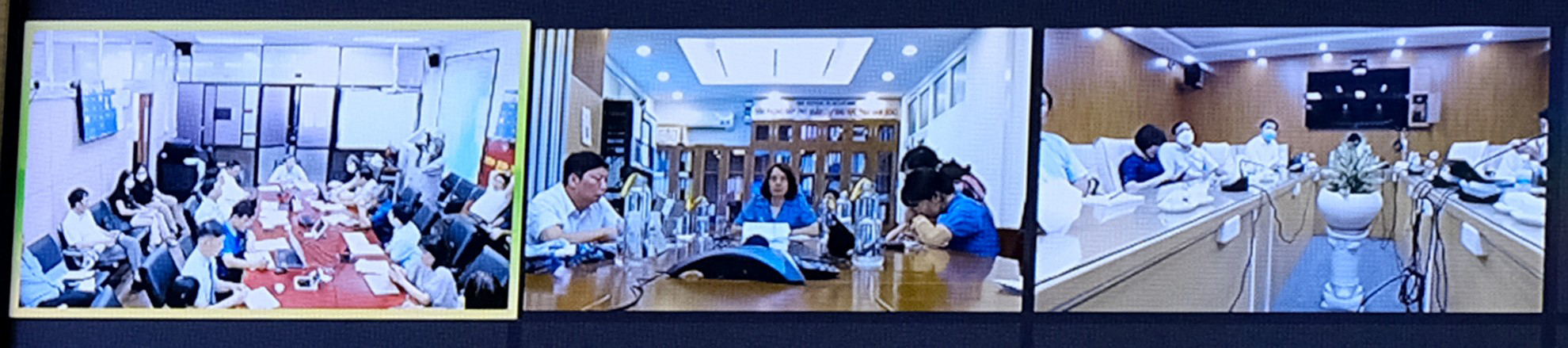 Thứ trưởng Bộ Y tế Nguyễn Thị Liên Hương chủ trì họp trực tuyến để bàn các biện pháp ứng phó với bệnh đậu mùa khỉ tại đầu cầu Viện Pasteur TP HCM Ảnh: Trần Minh