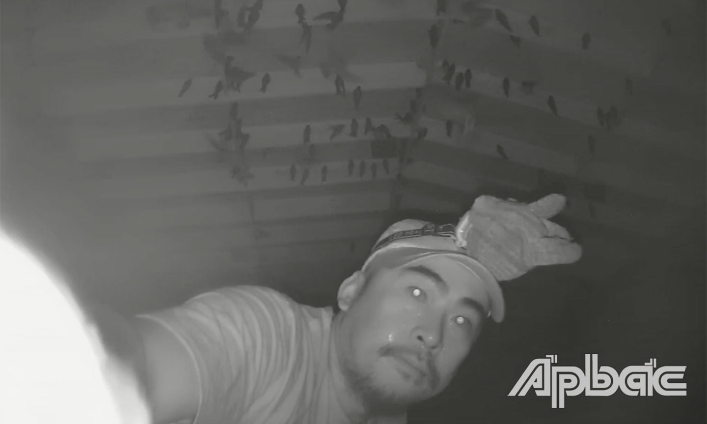 Đối tượng trộm yến.