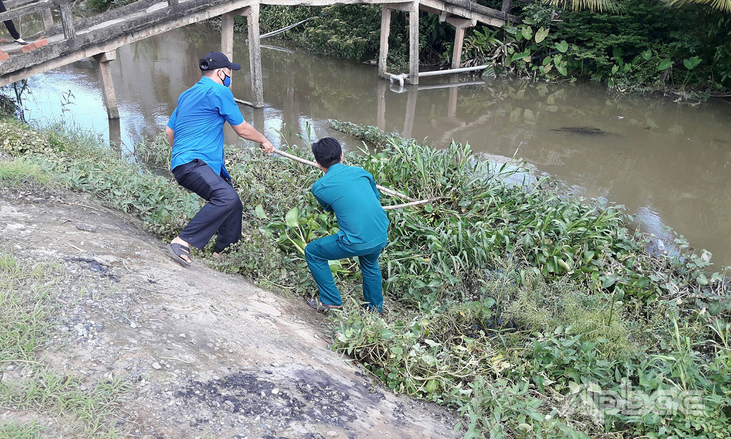 Ban, ngành, đoàn thể phường 1 ra quân trục vớt lục bình trên kinh Bảy Thước.