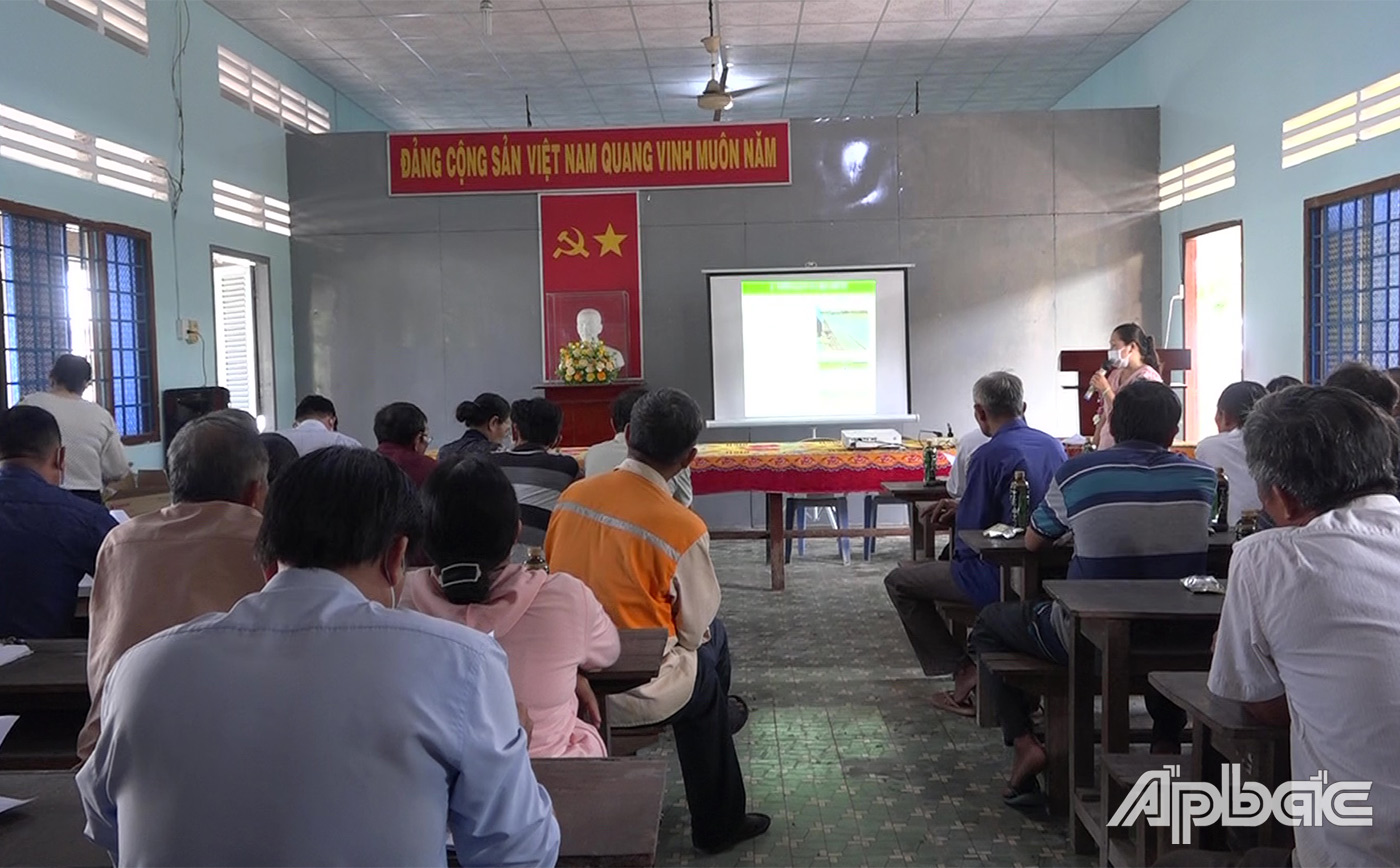 sơ kết đánh giá kết quả thực hiện thí nghiệm mô hình tiết kiệm phân bón trên cây lúa vụ Hè thu năm 2022 tại xã Thạnh Nhựt