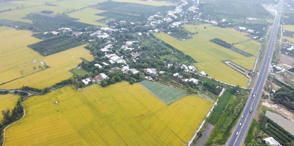 Cố gắng sản xuất thật nhiều để giảm giá là một sai lầm. Ảnh: H.P