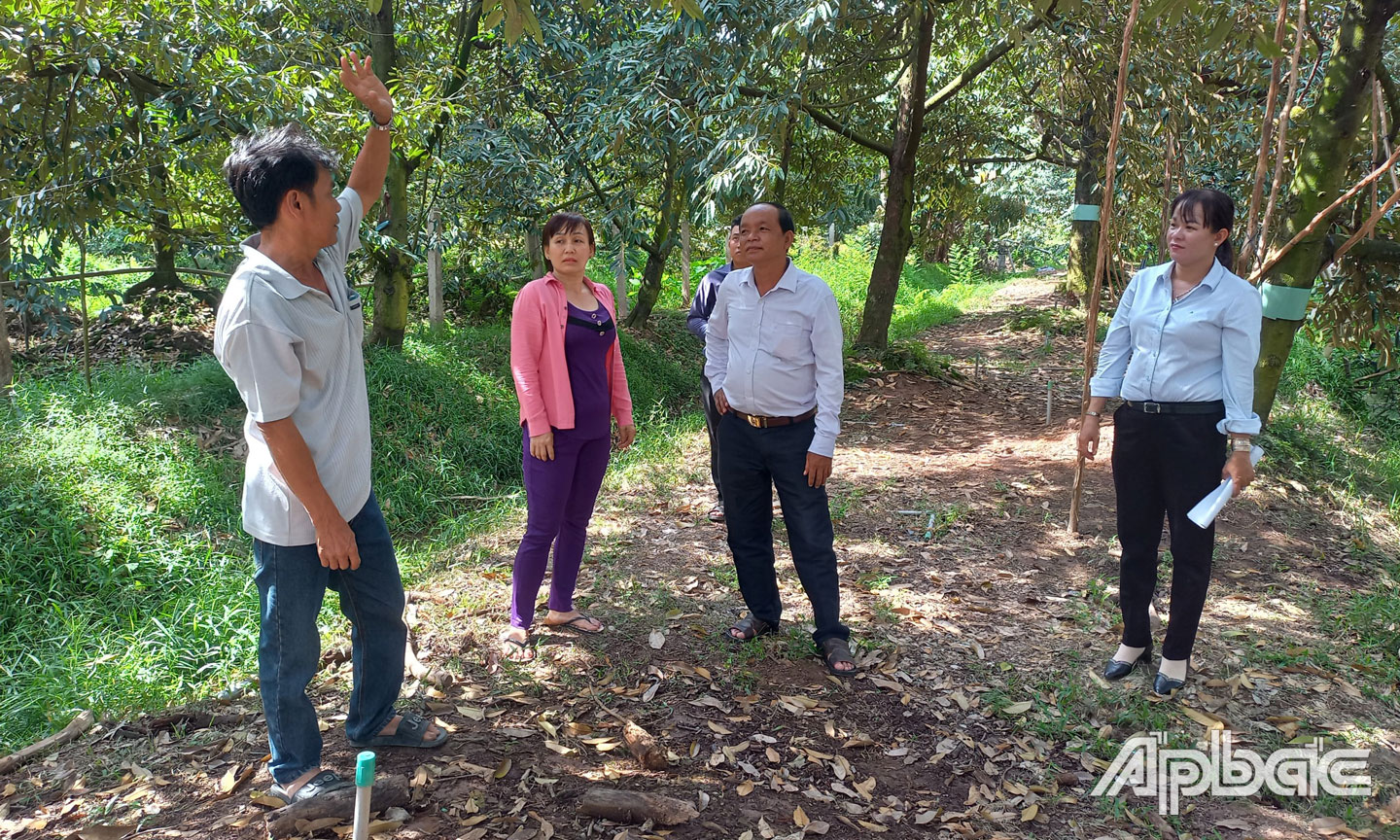  Lãnh đạo xã Ngũ Hiệp và nông dân trao đổi kinh nghiệm trồng sầu riêng. 