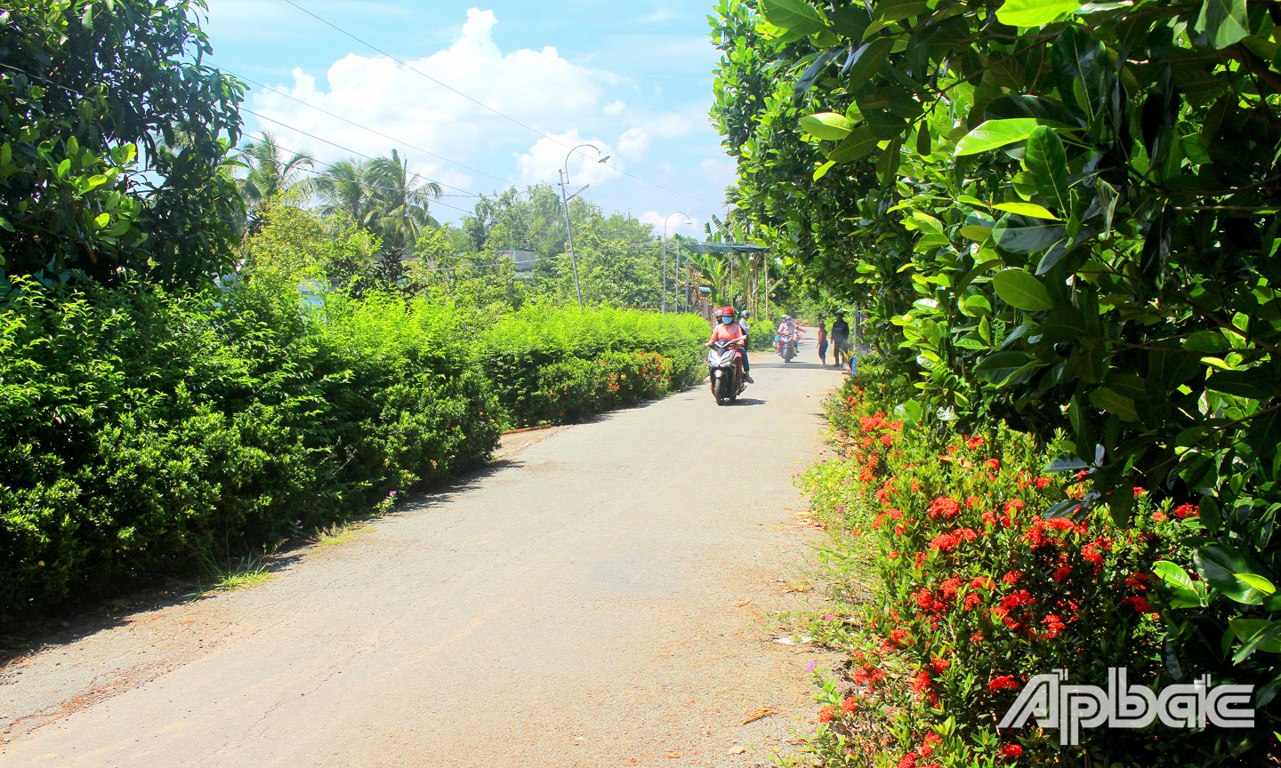 Một tuyến đường giao thông nông thôn ở ấp Láng Biển.