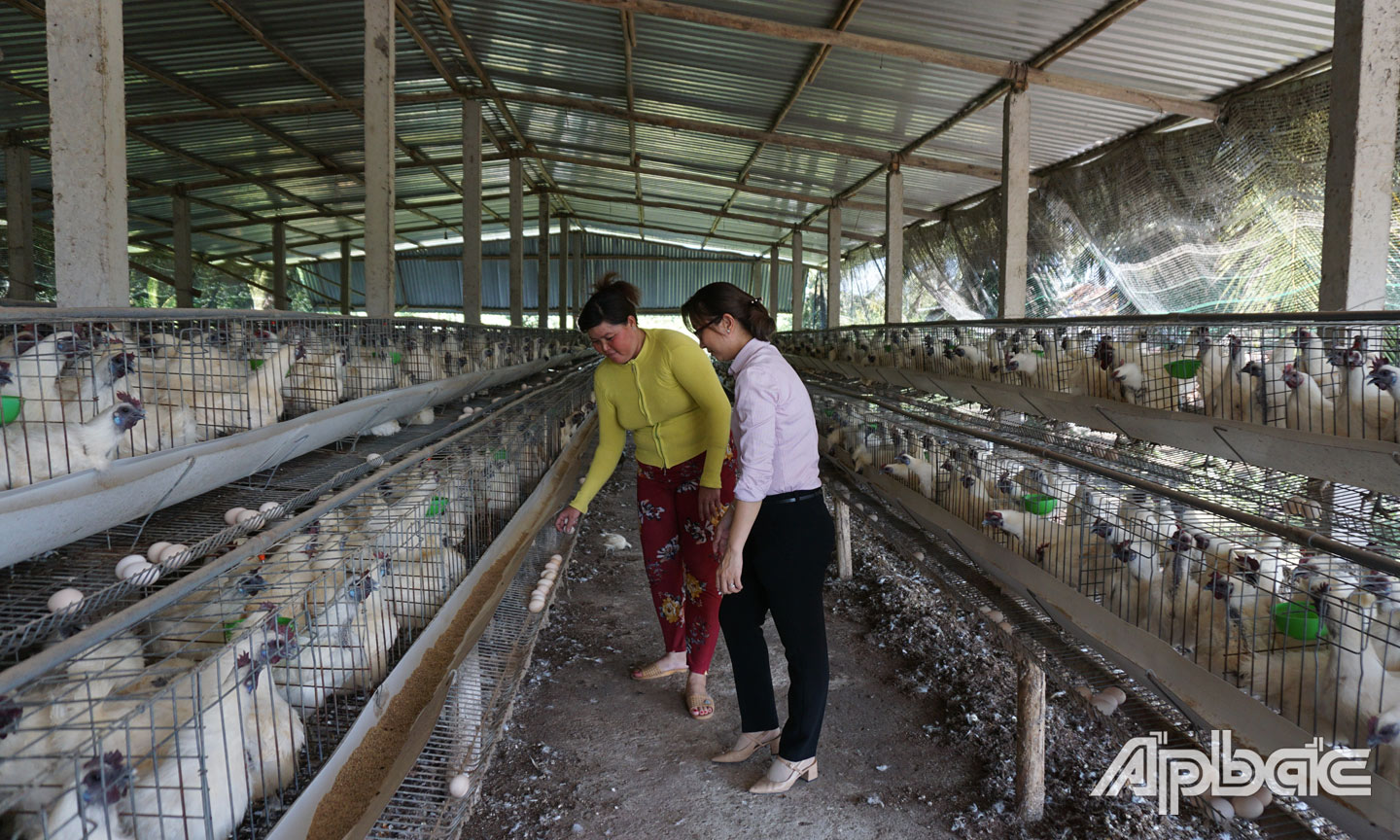 Tín dụng chính sách được xem là “trụ đỡ” cho gia đình khó khăn.