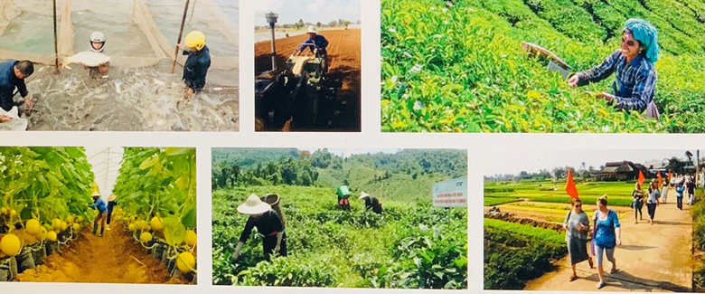 Hướng tới xây dựng người nông dân VIệt Nam chuyên nghiệp, từng bước tiếp cận với khái niệm công nhân nông nghiệp (Ảnh: HNV)