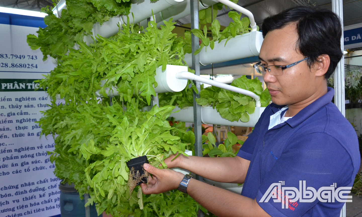 Sản xuất nông nghiệp đang được đẩy mạnh ứng dụng công nghệ cao.