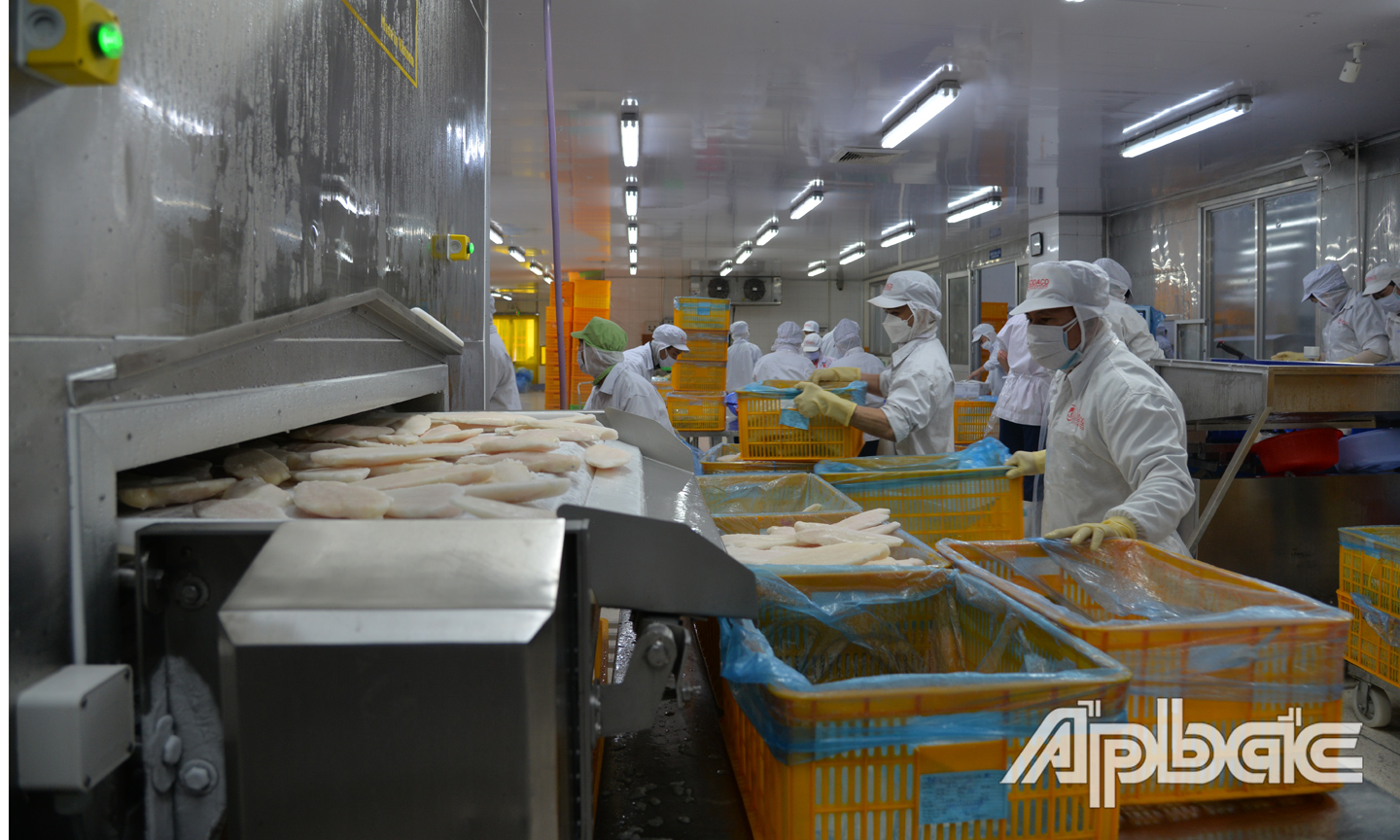 Thủy sản xuất khẩu có dấu hiệu hồi phục nhanh sau khi dịch bệnh được kiểm soát.