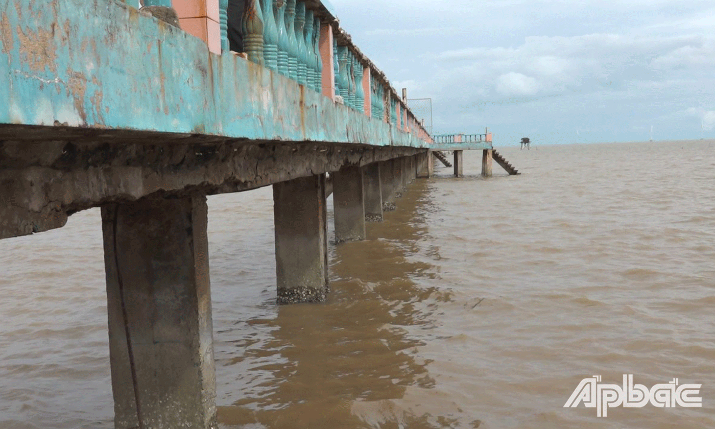 Qua quá trình sử dụng do chưa được duy tu, bão dưỡng nên hiện nay cầu bộ hành tại khu du lịch biển Tân Thành đã xuống cấp, hư hỏng