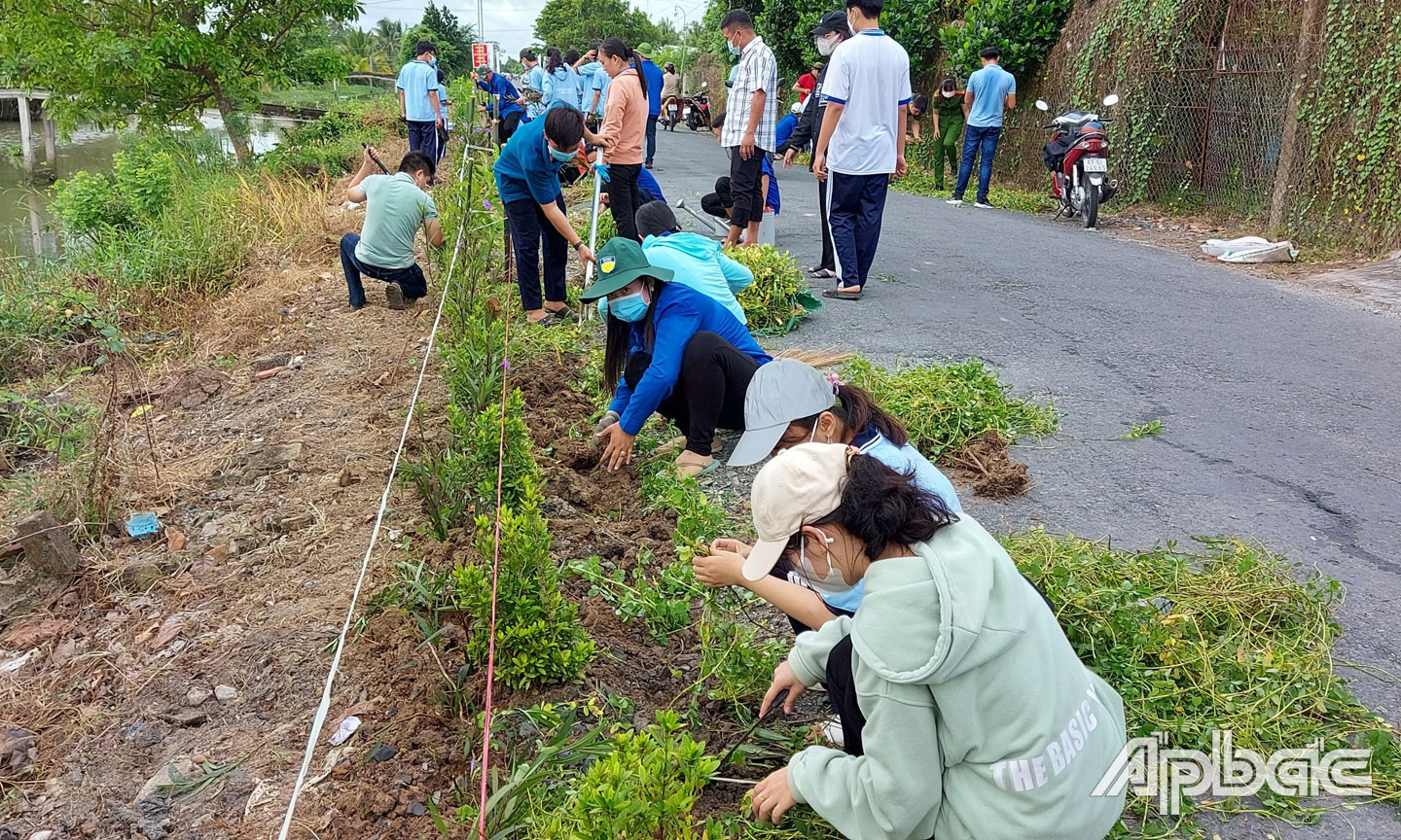 Đoàn viên, thanh niên thực hiện công trình “Tuyến đường hoa thanh niên”  và “Tuyến đường cây xanh” cặp các tuyến đường giao thông nông thôn.