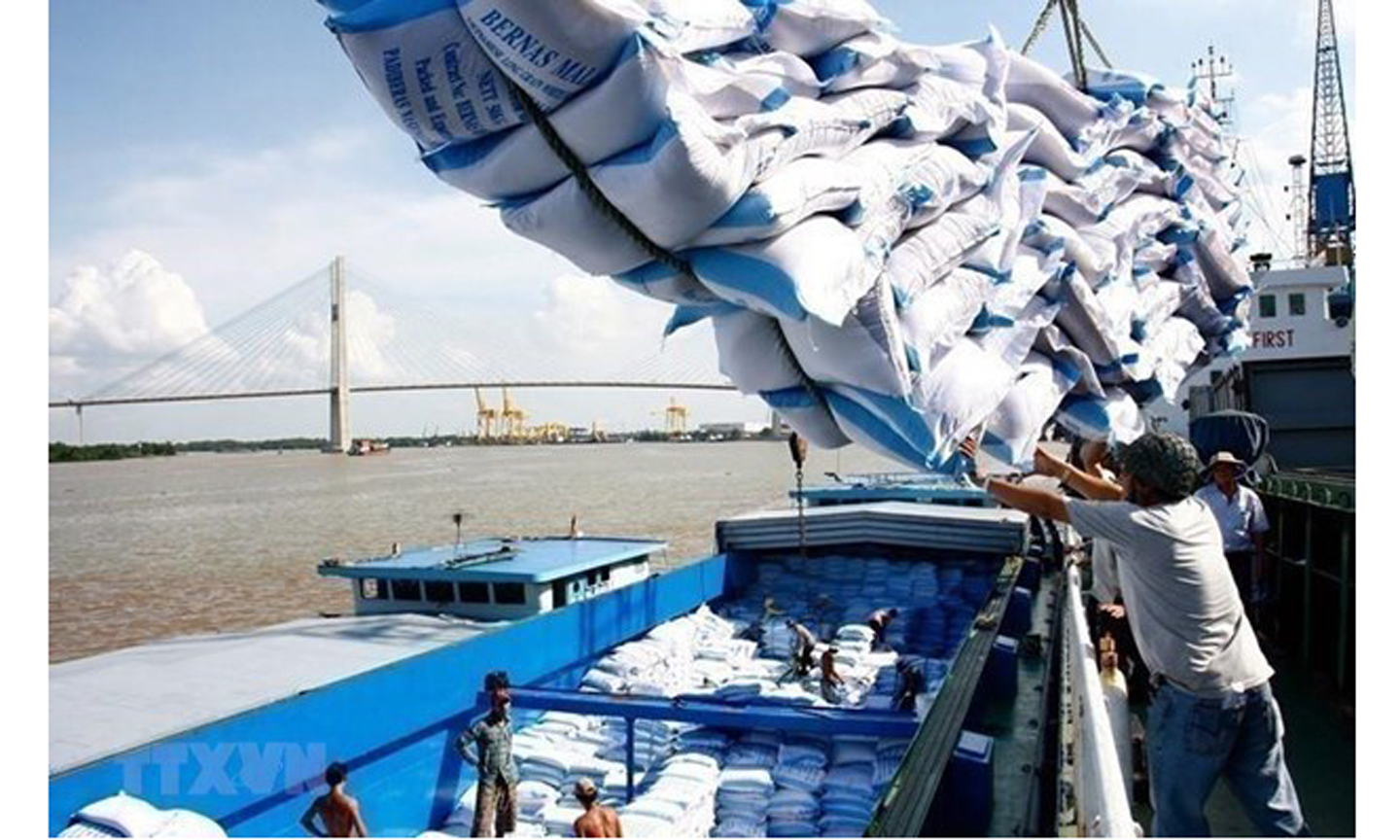 Bốc xếp gạo xuất khẩu. (Ảnh: TTXVN)