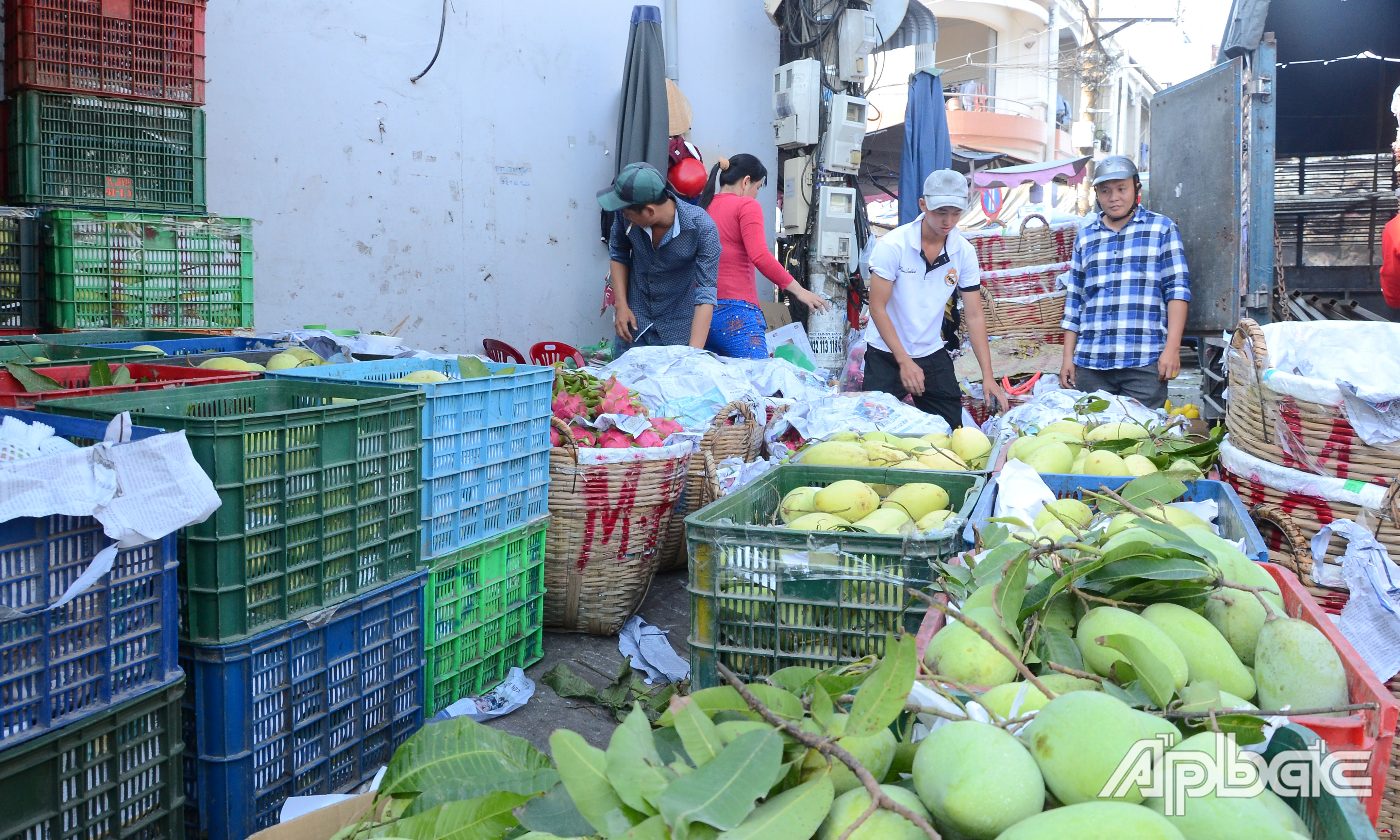 Xoài cát Hòa Lộc giá sỉ từ khoảng 70.000-80.000 đồng/kg.