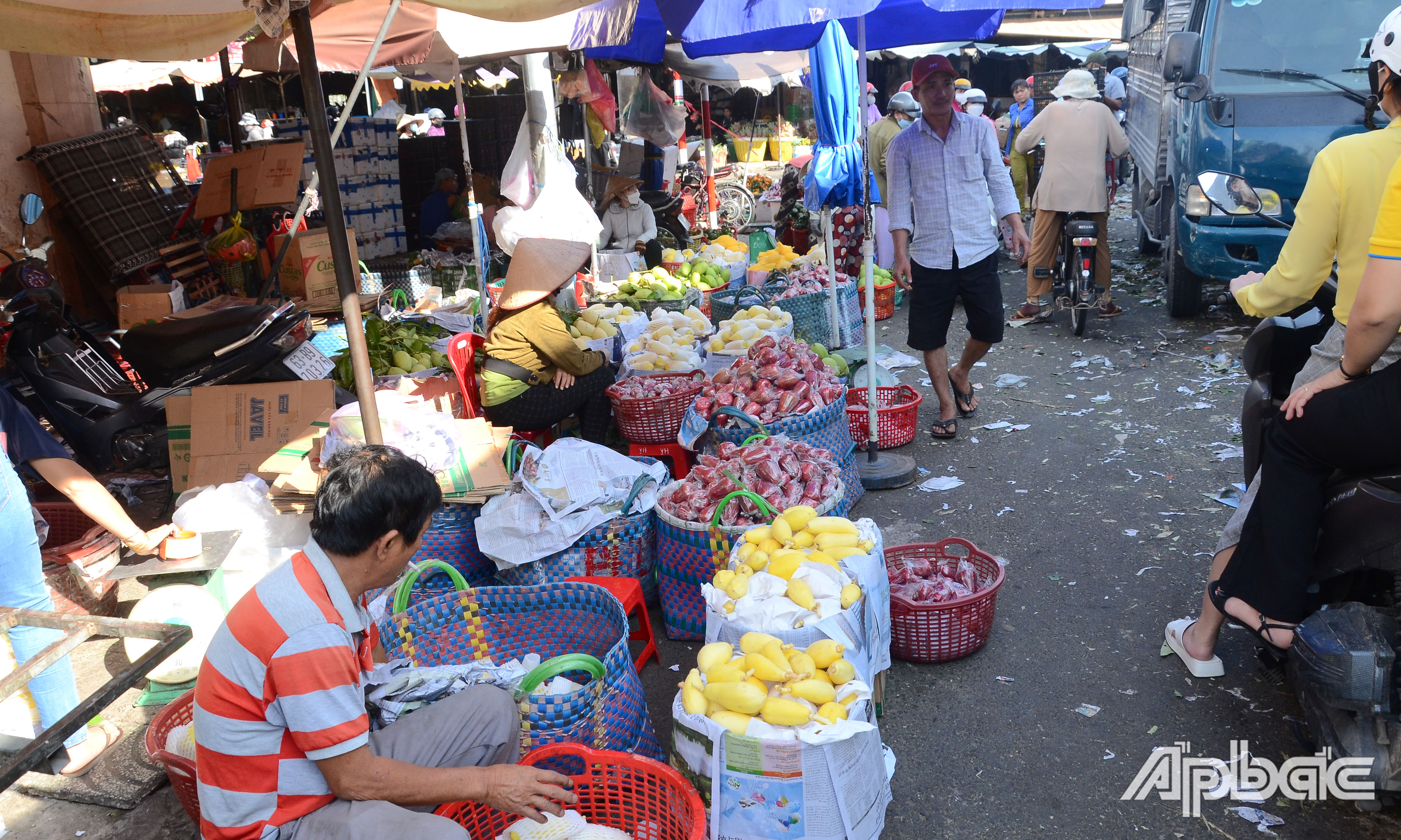 Đu đủ ruột vàng có giá 25.000 đồng/kg.