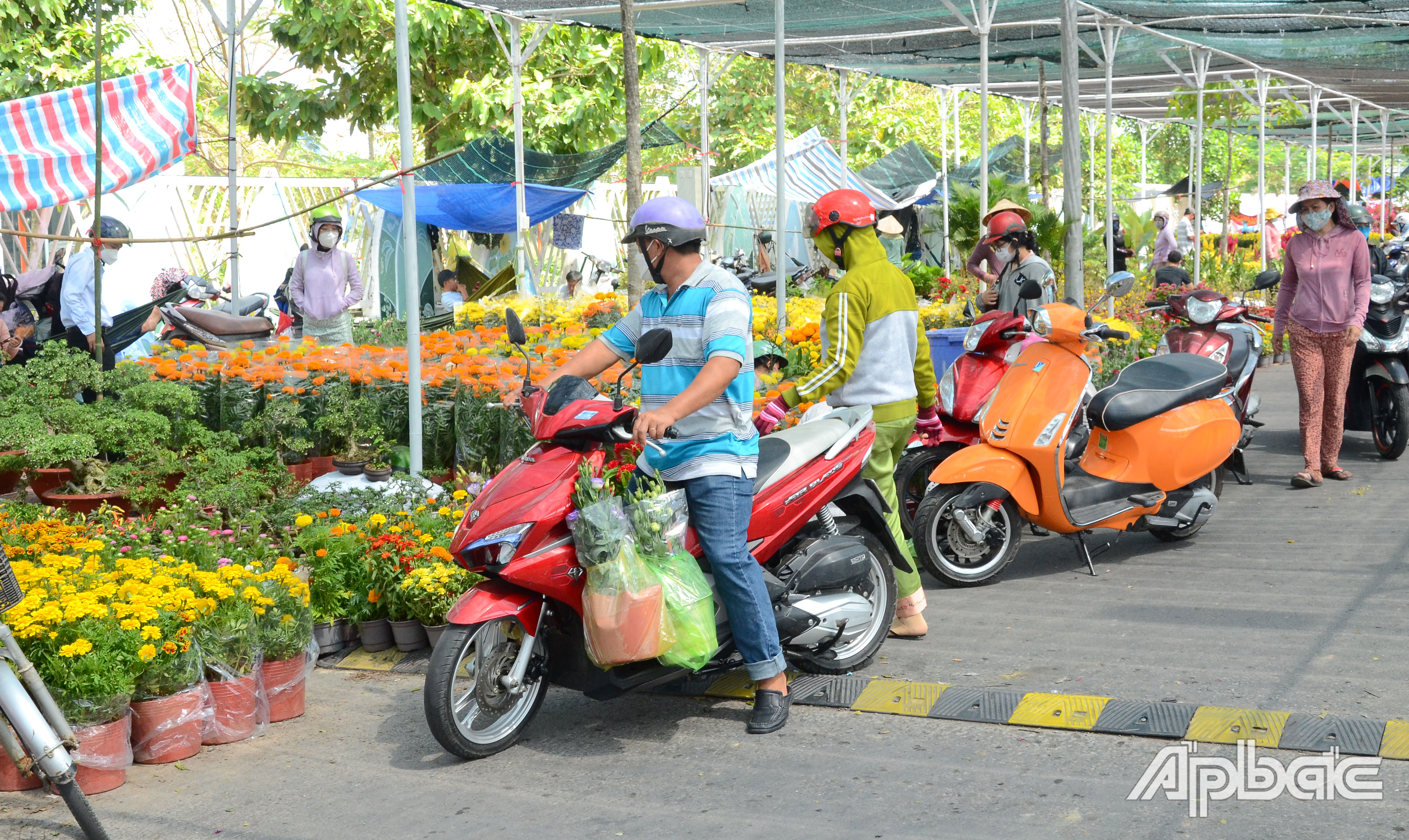 Hoa tết vẫn còn rất nhiều.