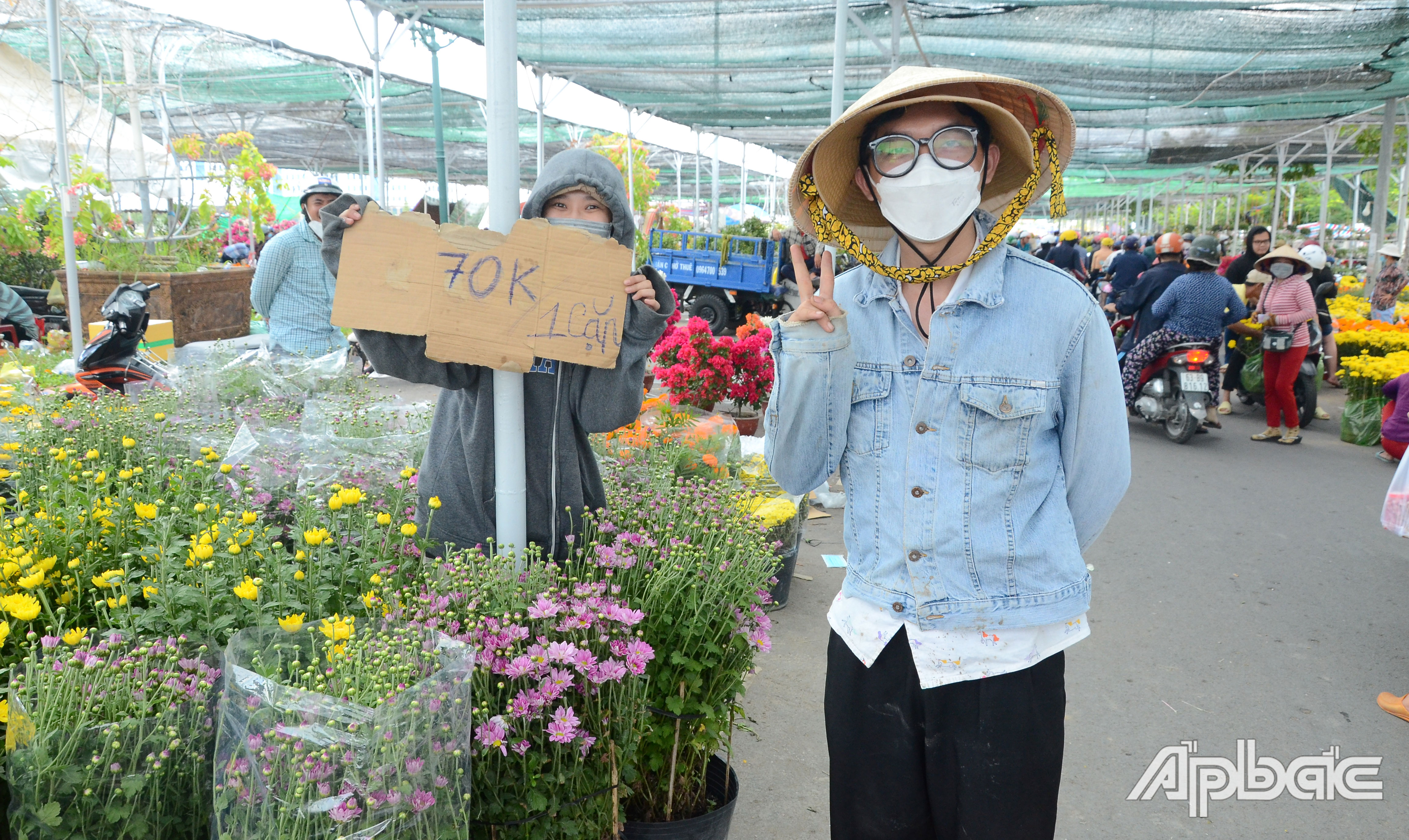 Anh Đức hạ giá hoa cúc xuống còn 70.000 đồng/cặp.
