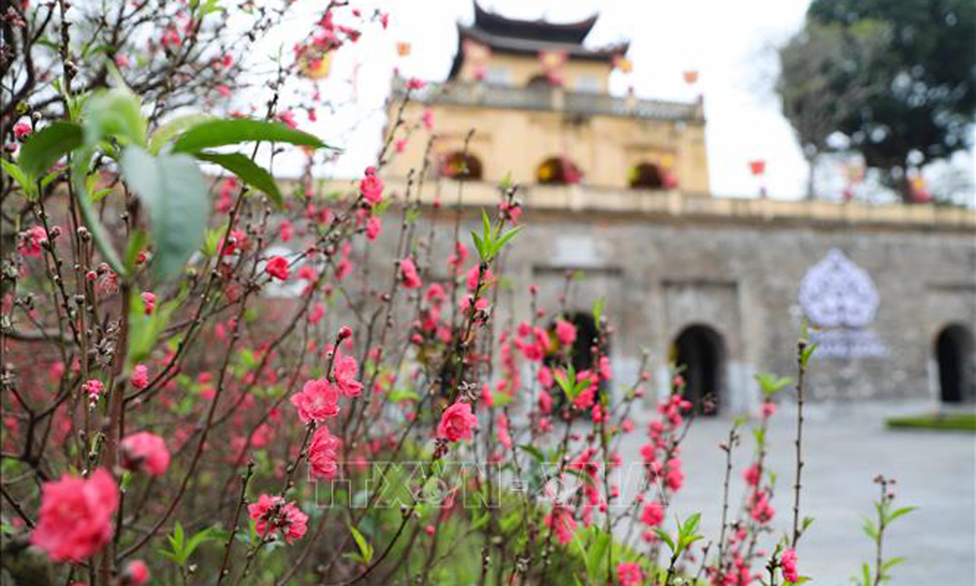 Sắc xuân Hoàng thành Thăng Long. Ảnh minh họa: Thanh Tùng/TTXVN