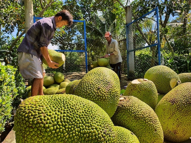 Phải giữ cho được thị trường Trung Quốc. Ảnh: Trung Chánh