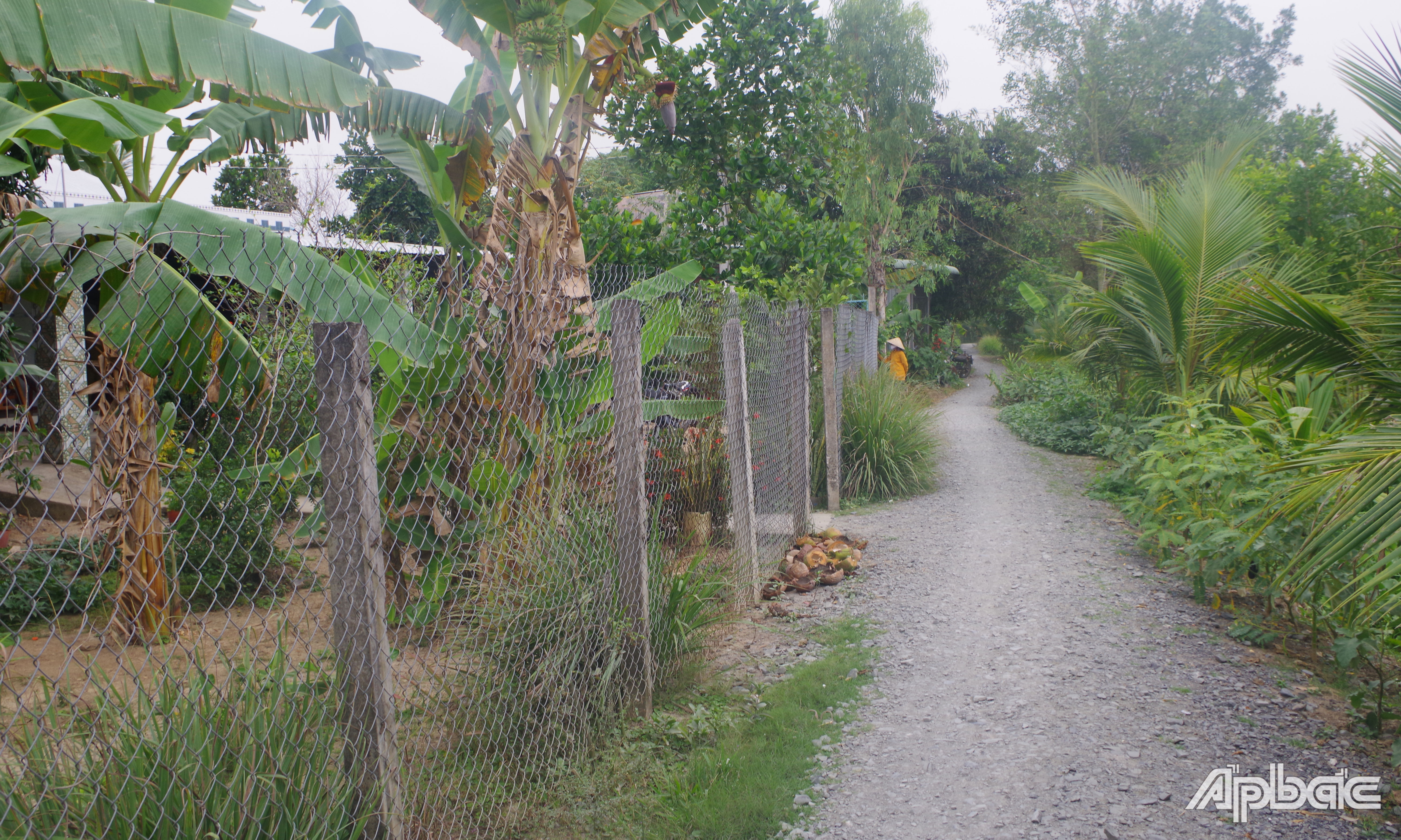 Ngôi nhà xảy ra vụ việc.