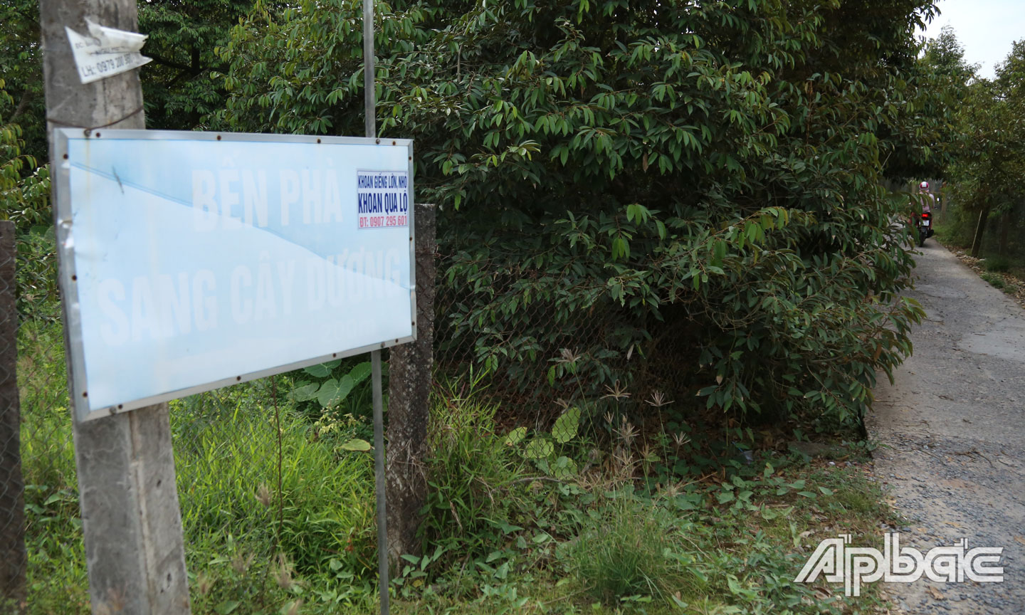 Đường vào bến phà Cây Dương.