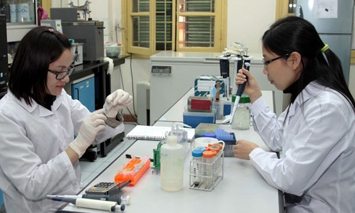 Illustrative image (Source: VNA).