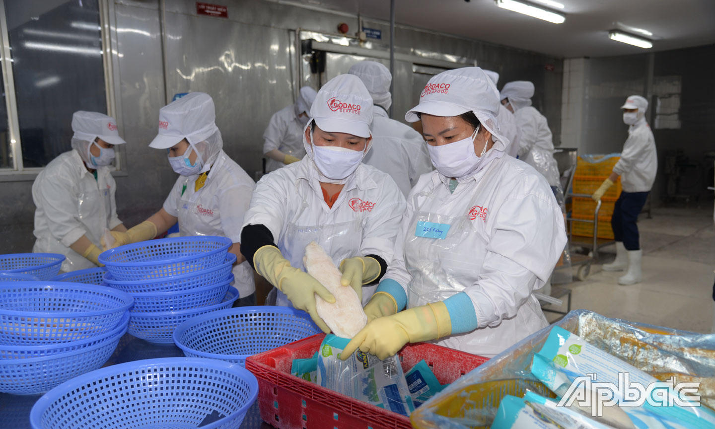 Sản xuất tại Công ty GODACO (KCN Mỹ Tho).