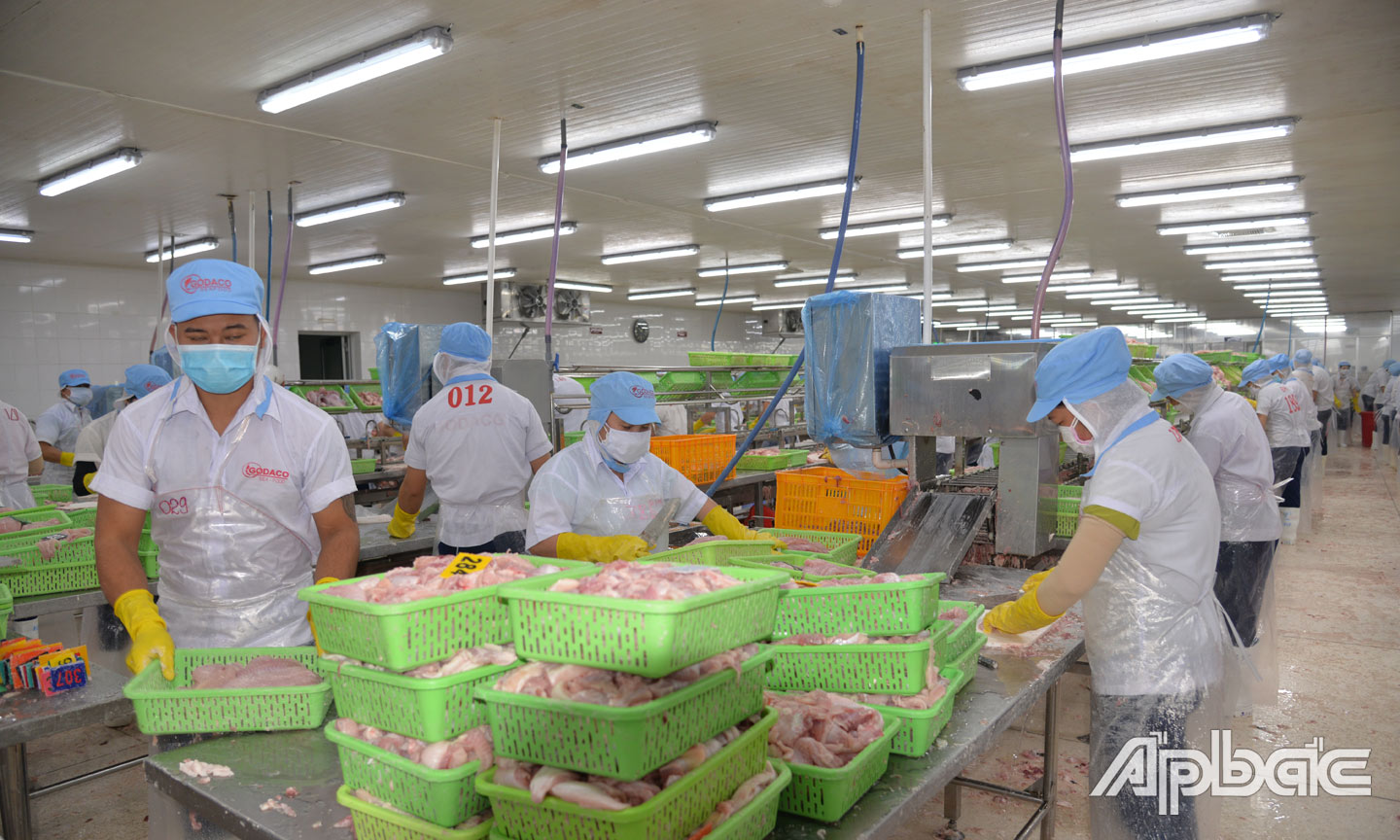 Sản xuất tại Công ty GODACO (KCN Mỹ Tho).