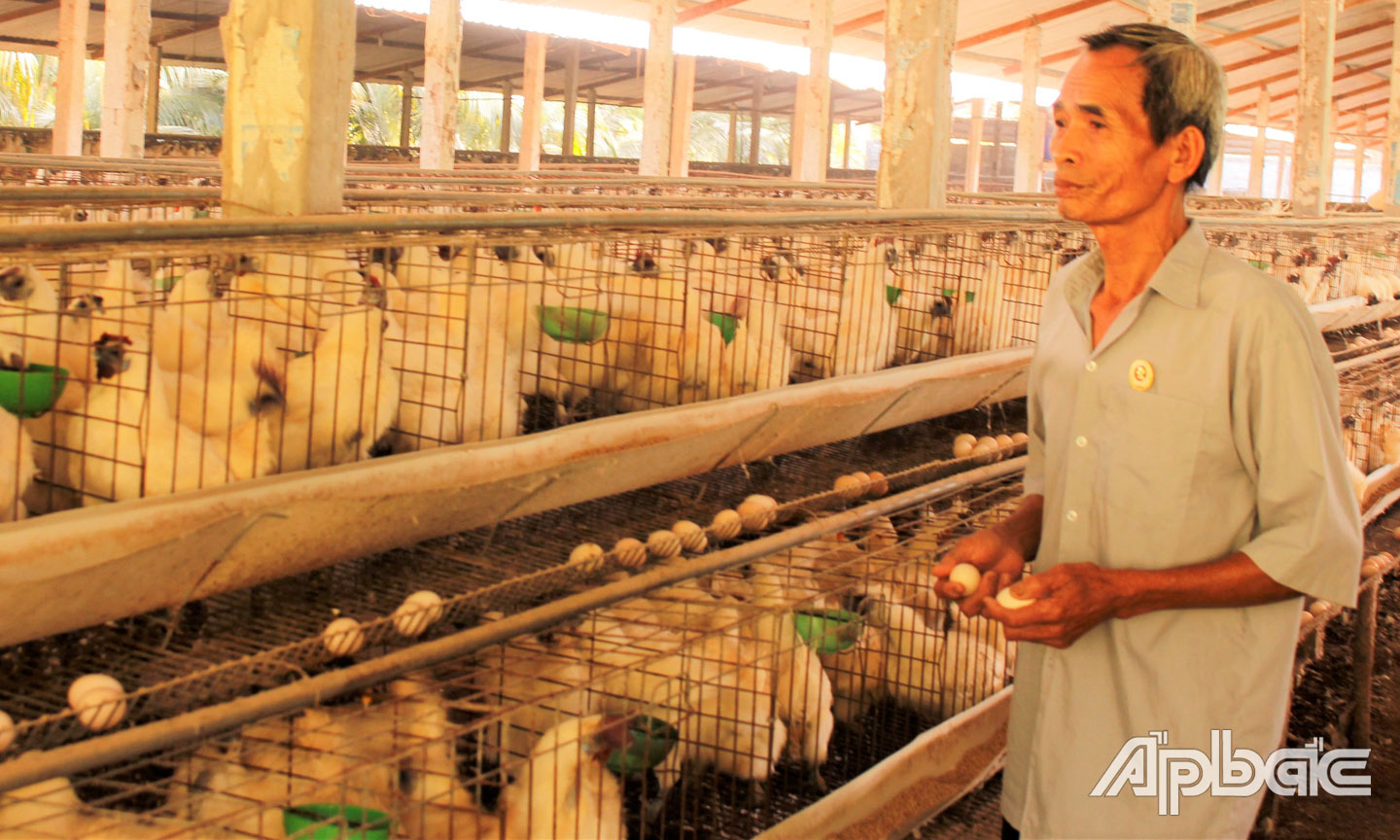 Ông Hoàng thăm trại gà ri.