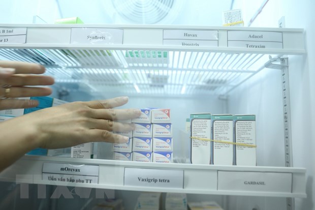 Bảo quản vaccine trong công tác tiêm chủng. (Ảnh: Minh Quyết/TTXVN)