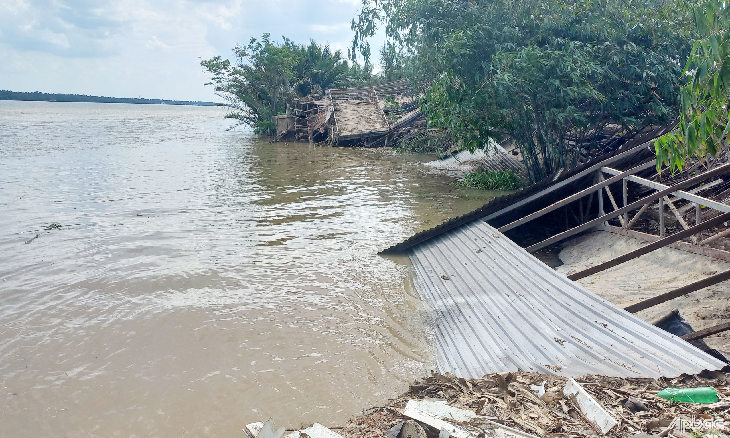 Hiện trường vụ trang trại gà để bị đổ sập xuống sông.