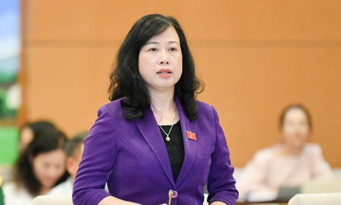 Bộ trưởng Bộ Y tế Đào Hồng Lan.