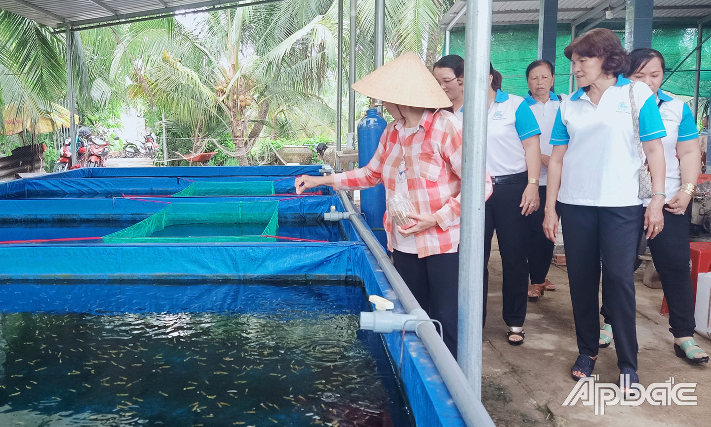 Hội viên, phụ nữ xã Hòa Tịnh tham quan mô hình nuôi cá kiểng của bà Tứ.