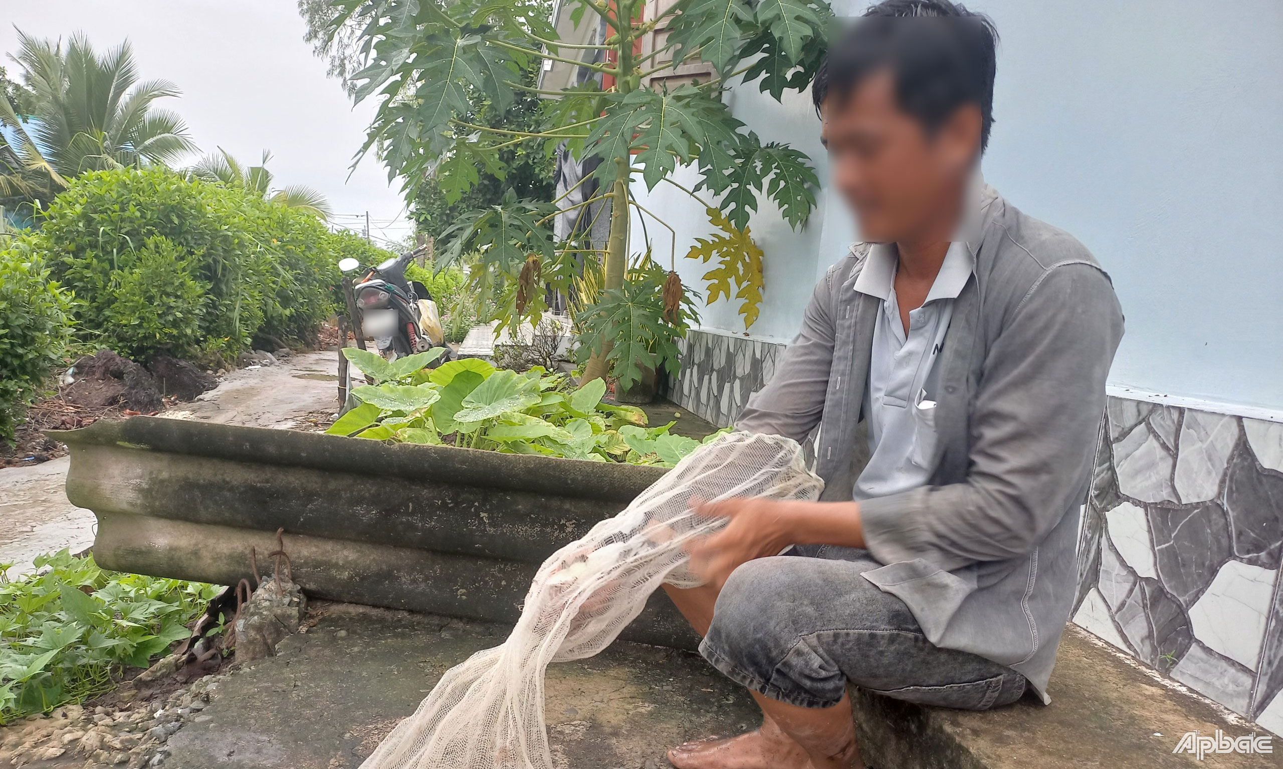 Chim trời rất hút hàng.